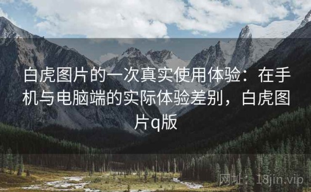 白虎图片的一次真实使用体验：在手机与电脑端的实际体验差别，白虎图片q版
