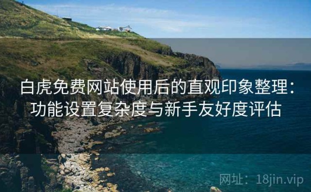 白虎免费网站使用后的直观印象整理：功能设置复杂度与新手友好度评估