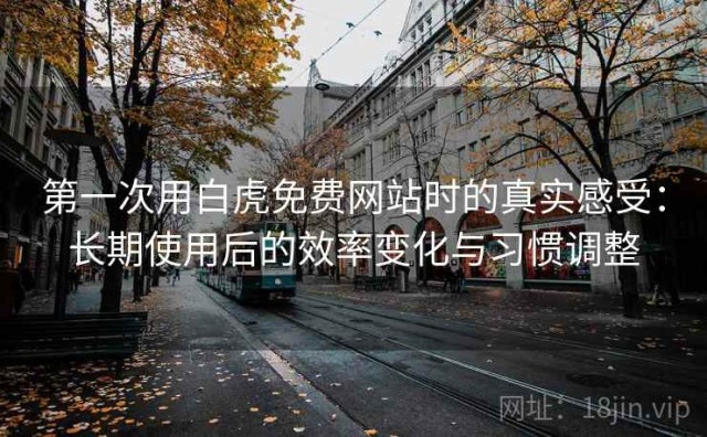 第一次用白虎免费网站时的真实感受：长期使用后的效率变化与习惯调整