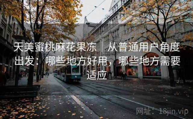 天美蜜桃麻花果冻｜从普通用户角度出发：哪些地方好用，哪些地方需要适应