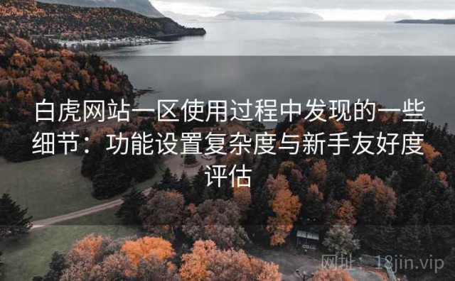 白虎网站一区使用过程中发现的一些细节：功能设置复杂度与新手友好度评估