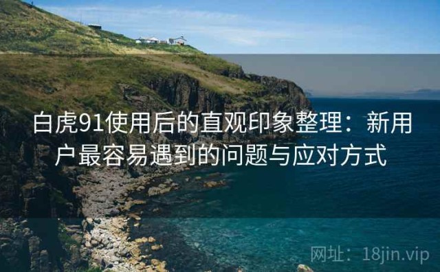 白虎91使用后的直观印象整理：新用户最容易遇到的问题与应对方式
