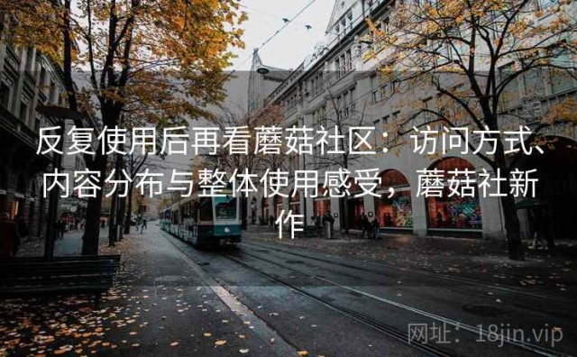 反复使用后再看蘑菇社区：访问方式、内容分布与整体使用感受，蘑菇社新作