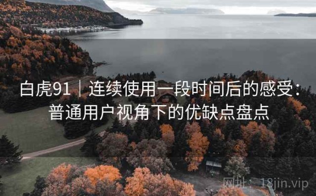 白虎91｜连续使用一段时间后的感受：普通用户视角下的优缺点盘点