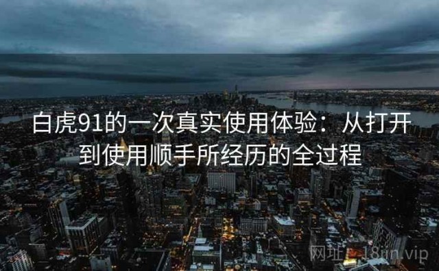 白虎91的一次真实使用体验：从打开到使用顺手所经历的全过程