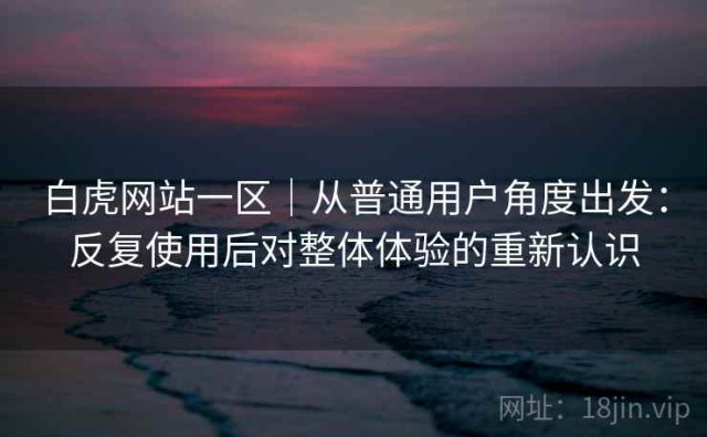 白虎网站一区｜从普通用户角度出发：反复使用后对整体体验的重新认识