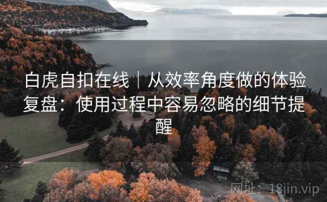 白虎自扣在线｜从效率角度做的体验复盘：使用过程中容易忽略的细节提醒