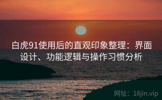 白虎91使用后的直观印象整理：界面设计、功能逻辑与操作习惯分析