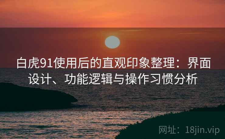 白虎91使用后的直观印象整理：界面设计、功能逻辑与操作习惯分析