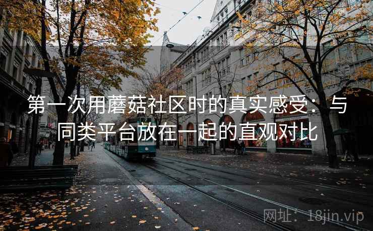 第一次用蘑菇社区时的真实感受：与同类平台放在一起的直观对比