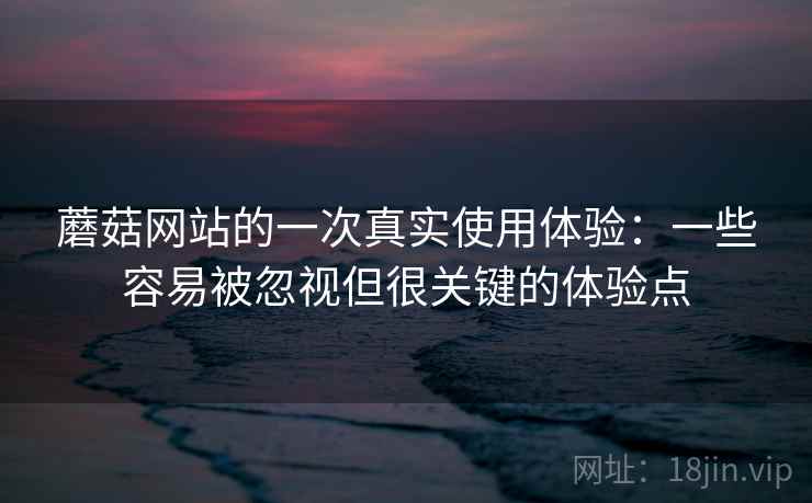 蘑菇网站的一次真实使用体验：一些容易被忽视但很关键的体验点