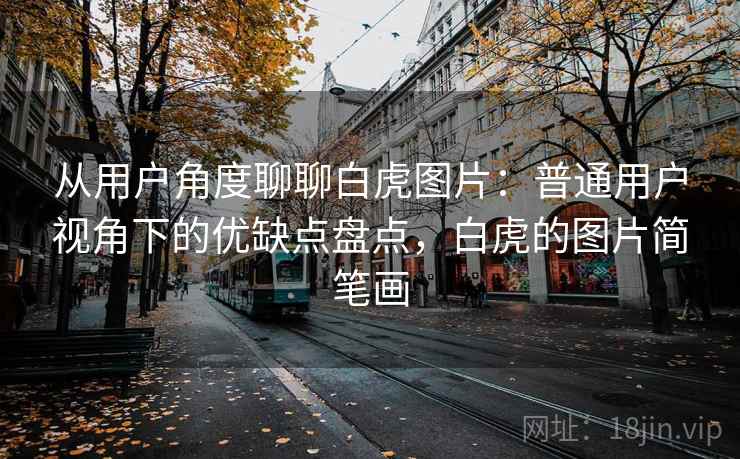 从用户角度聊聊白虎图片：普通用户视角下的优缺点盘点，白虎的图片简笔画