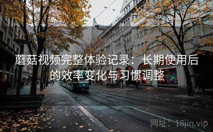蘑菇视频完整体验记录：长期使用后的效率变化与习惯调整