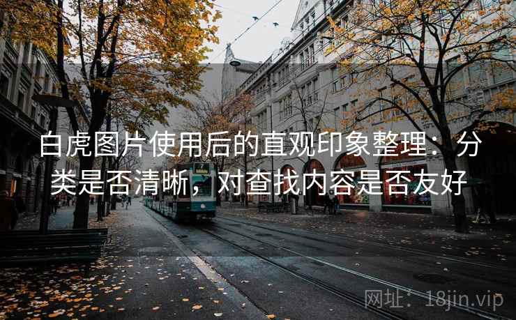 白虎图片使用后的直观印象整理：分类是否清晰，对查找内容是否友好