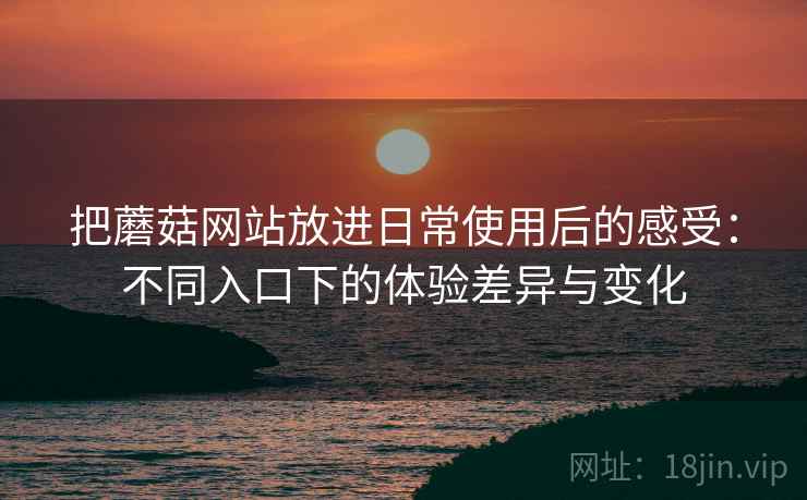 把蘑菇网站放进日常使用后的感受：不同入口下的体验差异与变化