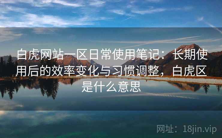 白虎网站一区日常使用笔记：长期使用后的效率变化与习惯调整，白虎区是什么意思