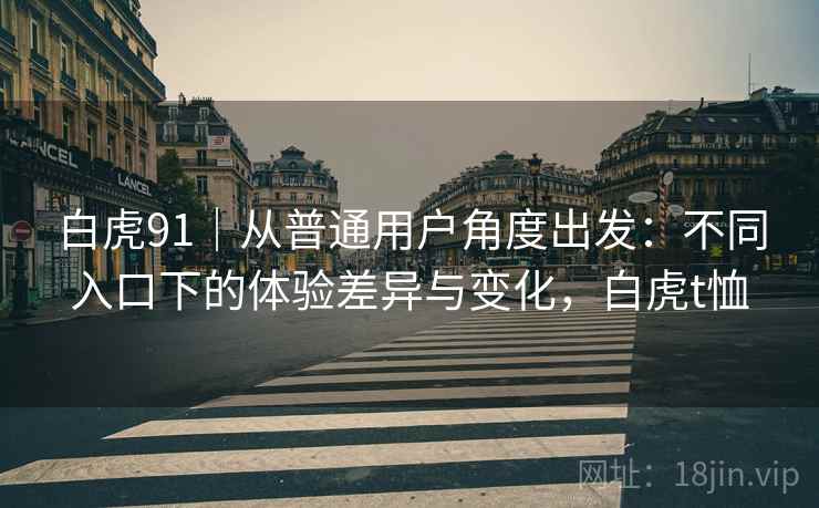 白虎91｜从普通用户角度出发：不同入口下的体验差异与变化，白虎t恤