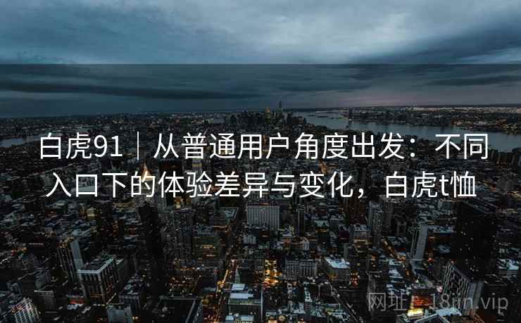白虎91｜从普通用户角度出发：不同入口下的体验差异与变化，白虎t恤