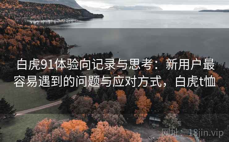 白虎91体验向记录与思考：新用户最容易遇到的问题与应对方式，白虎t恤