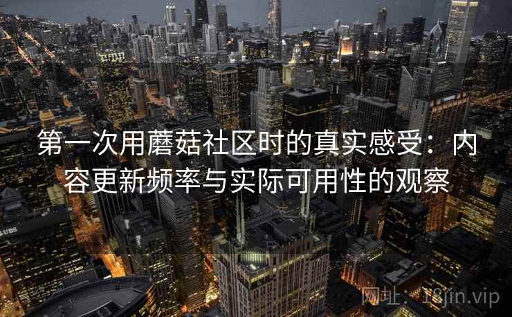 第一次用蘑菇社区时的真实感受：内容更新频率与实际可用性的观察