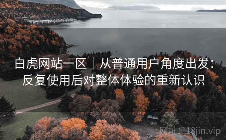 白虎网站一区|从普通用户角度出发:反复使用后对整体体验的重新认识 白虎网站一区|从普通用户角度出发:反复使用后对整体体验的重新认识