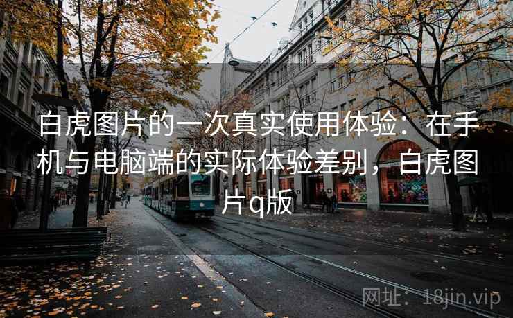 白虎图片的一次真实使用体验:在手机与电脑端的实际体验差别,白虎图片q版 白虎图片的一次真实使用体验:在手机与电脑端的实际体验差别,白虎图片q版