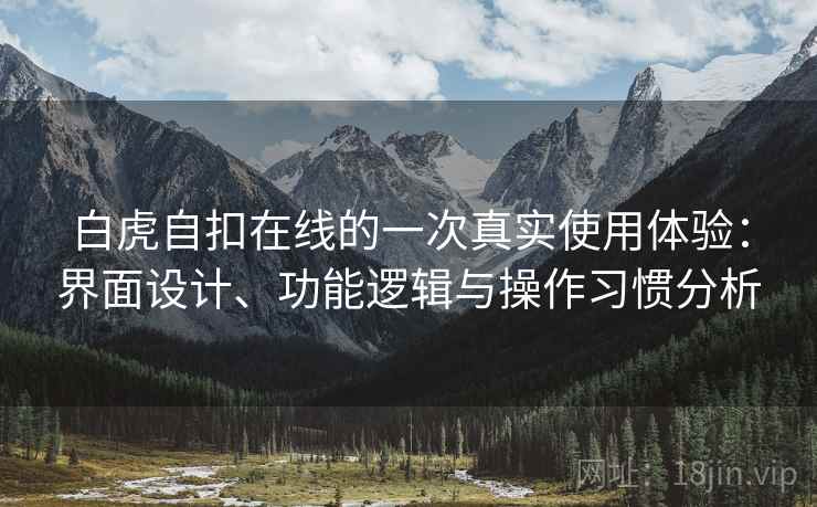 白虎自扣在线的一次真实使用体验：界面设计、功能逻辑与操作习惯分析