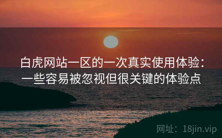 白虎网站一区的一次真实使用体验：一些容易被忽视但很关键的体验点