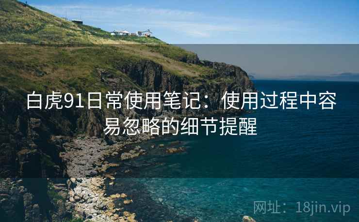白虎91日常使用笔记:使用过程中容易忽略的细节提醒 白虎91日常使用笔记:使用过程中容易忽略的细节提醒