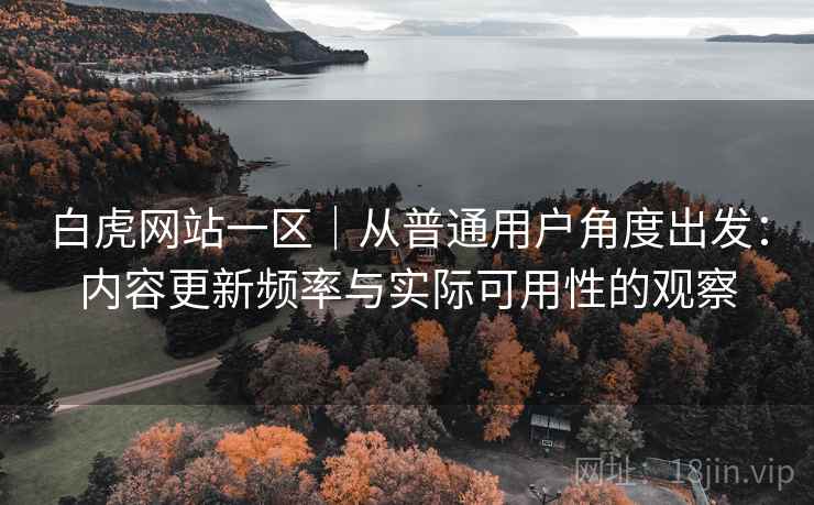 白虎网站一区|从普通用户角度出发:内容更新频率与实际可用性的观察 白虎网站一区|从普通用户角度出发:内容更新频率与实际可用性的观察