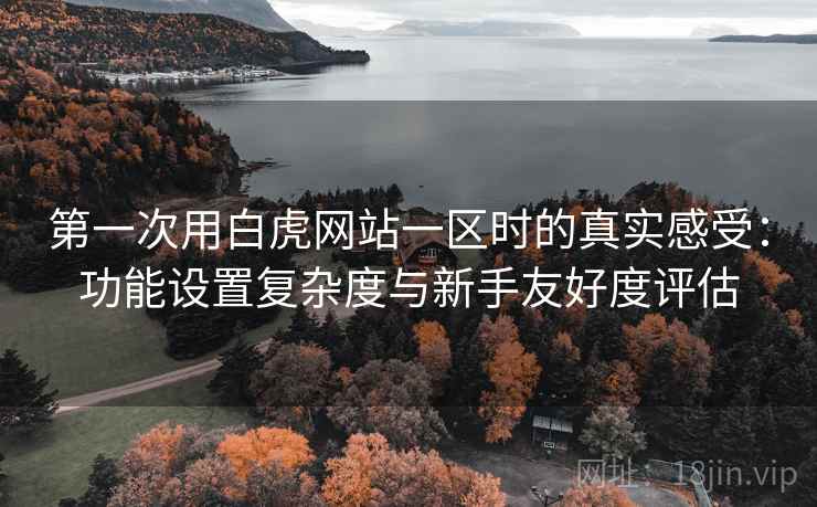第一次用白虎网站一区时的真实感受:功能设置复杂度与新手友好度评估 第一次用白虎网站一区时的真实感受:功能设置复杂度与新手友好度评估