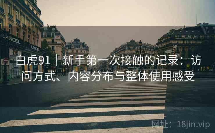 白虎91|新手第一次接触的记录:访问方式、内容分布与整体使用感受 白虎91|新手第一次接触的记录:访问方式、内容分布与整体使用感受