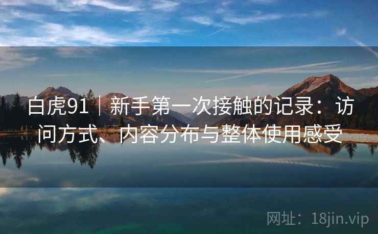 白虎91｜新手第一次接触的记录：访问方式、内容分布与整体使用感受