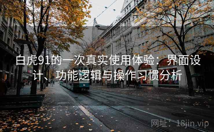 白虎91的一次真实使用体验:界面设计、功能逻辑与操作习惯分析 白虎91的一次真实使用体验:界面设计、功能逻辑与操作习惯分析