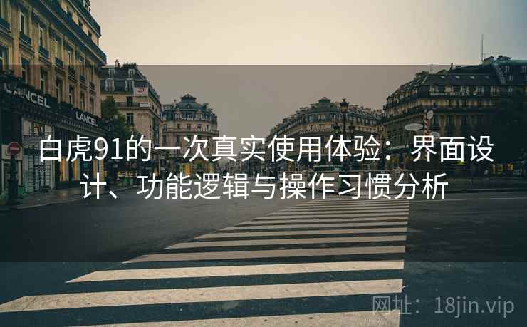 白虎91的一次真实使用体验:界面设计、功能逻辑与操作习惯分析 白虎91的一次真实使用体验:界面设计、功能逻辑与操作习惯分析