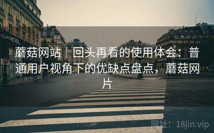 蘑菇网站|回头再看的使用体会:普通用户视角下的优缺点盘点,蘑菇网片 蘑菇网站|回头再看的使用体会:普通用户视角下的优缺点盘点,蘑菇网片