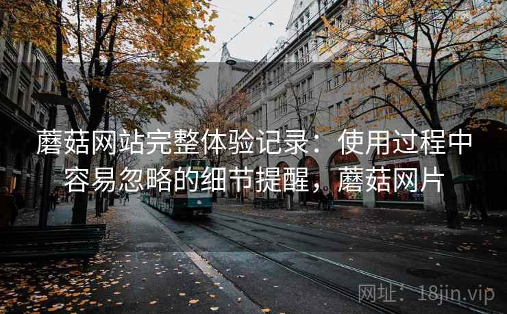 蘑菇网站完整体验记录:使用过程中容易忽略的细节提醒,蘑菇网片 蘑菇网站完整体验记录:使用过程中容易忽略的细节提醒,蘑菇网片